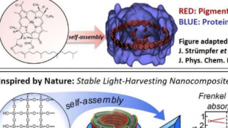 研究人员克服了受生物启发的太阳能收集材料功能化的障碍