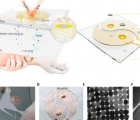 用于生物界面上通用分子指纹检测的可穿戴等离子体超表面传感器