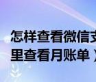 怎样查看微信支付每个月账单（微信支付在哪里查看月账单）