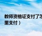 教师资格证支付了怎么显示待支付（教师资格证待支付在哪里支付）