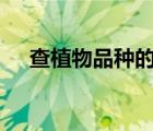 查植物品种的app（查植物品种的app）