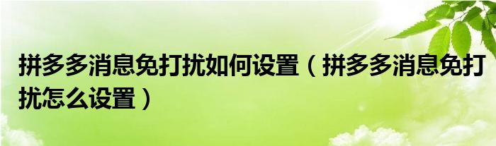 拼多多消息免打扰如何设置（拼多多消息免打扰怎么设置）