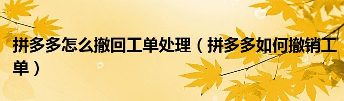 拼多多怎么撤回工单处理（拼多多如何撤销工单）