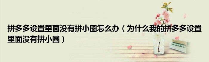 拼多多设置里面没有拼小圈怎么办（为什么我的拼多多设置里面没有拼小圈）