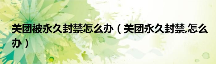美团被永久封禁怎么办（美团永久封禁,怎么办）