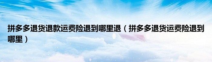 拼多多退货退款运费险退到哪里退（拼多多退货运费险退到哪里）