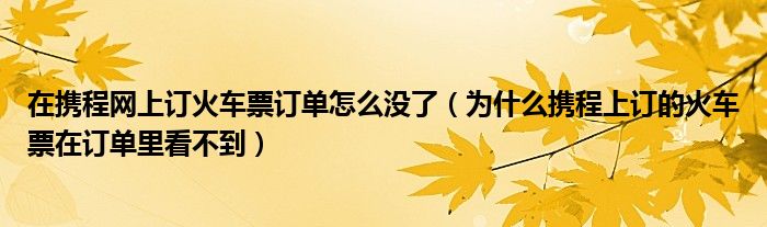 在携程网上订火车票订单怎么没了（为什么携程上订的火车票在订单里看不到）