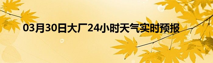 03月30日大厂24小时天气实时预报