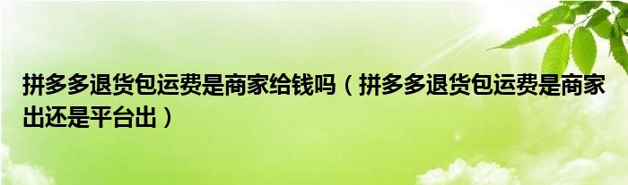 拼多多退货包运费是商家给钱吗（拼多多退货包运费是商家出还是平台出）