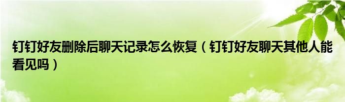 钉钉好友删除后聊天记录怎么恢复（钉钉好友聊天其他人能看见吗）