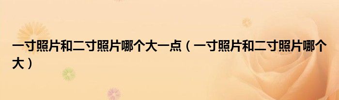 一寸照片和二寸照片哪个大一点（一寸照片和二寸照片哪个大）