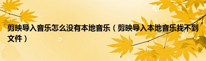 剪映导入音乐怎么没有本地音乐（剪映导入本地音乐找不到文件）