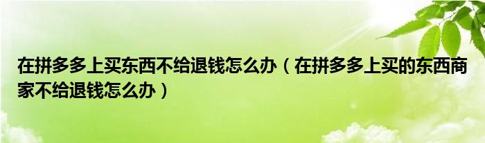 在拼多多上买东西不给退钱怎么办（在拼多多上买的东西商家不给退钱怎么办）