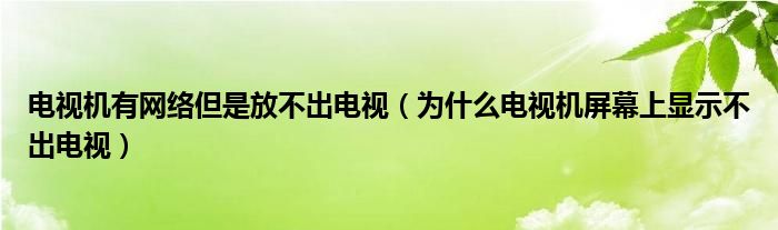 电视机有网络但是放不出电视（为什么电视机屏幕上显示不出电视）