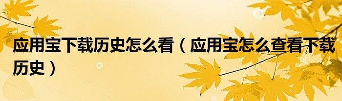 应用宝下载历史怎么看（应用宝怎么查看下载历史）