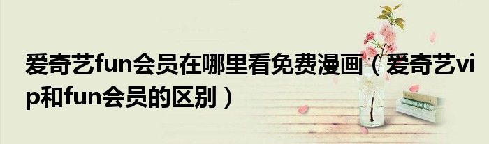 爱奇艺fun会员在哪里看免费漫画（爱奇艺vip和fun会员的区别）