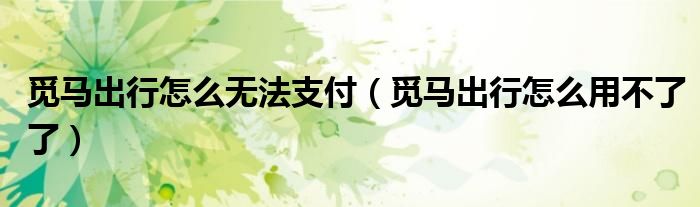 觅马出行怎么无法支付（觅马出行怎么用不了了）