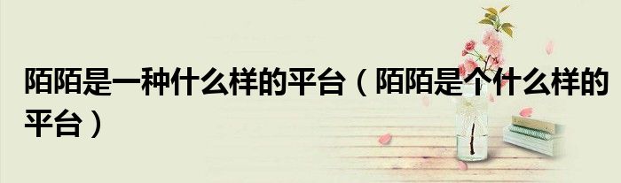 陌陌是一种什么样的平台（陌陌是个什么样的平台）