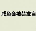 咸鱼会被禁发言吗（咸鱼被禁言了怎么说话）