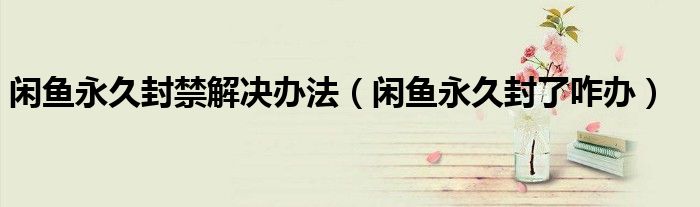 闲鱼永久封禁解决办法（闲鱼永久封了咋办）