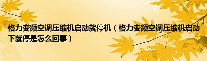 格力变频空调压缩机启动就停机（格力变频空调压缩机启动下就停是怎么回事）