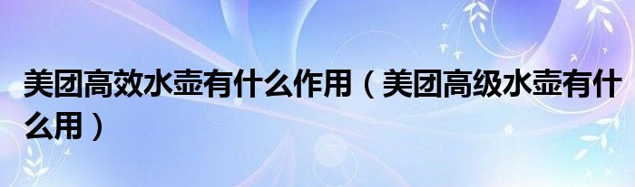 美团高效水壶有什么作用（美团高级水壶有什么用）