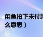 闲鱼拍下未付款怎么办（闲鱼拍下未付款是什么意思）
