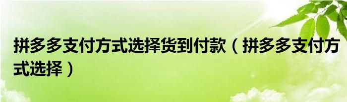 拼多多支付方式选择货到付款（拼多多支付方式选择）