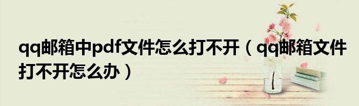 qq邮箱中pdf文件怎么打不开（qq邮箱文件打不开怎么办）