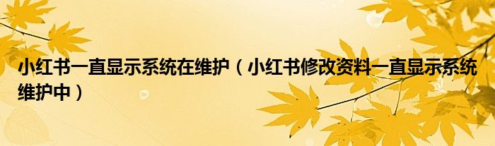 小红书一直显示系统在维护（小红书修改资料一直显示系统维护中）