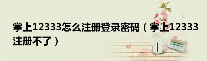 掌上12333怎么注册登录密码（掌上12333注册不了）