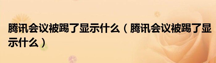 腾讯会议被踢了显示什么（腾讯会议被踢了显示什么）
