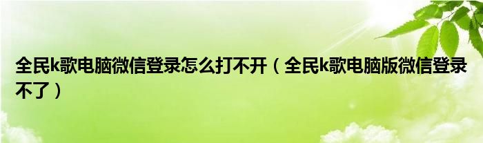 全民k歌电脑微信登录怎么打不开（全民k歌电脑版微信登录不了）
