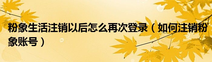 粉象生活注销以后怎么再次登录（如何注销粉象账号）