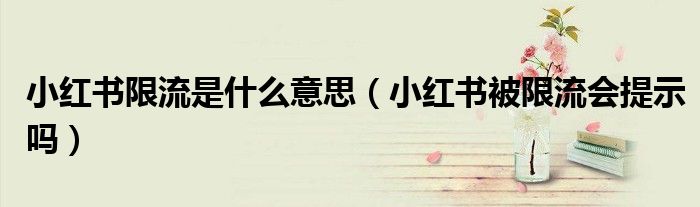 小红书限流是什么意思（小红书被限流会提示吗）