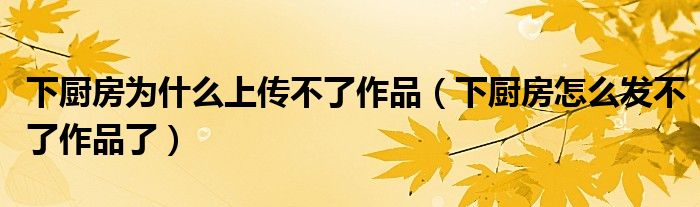 下厨房为什么上传不了作品（下厨房怎么发不了作品了）