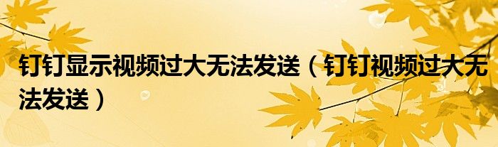 钉钉显示视频过大无法发送（钉钉视频过大无法发送）