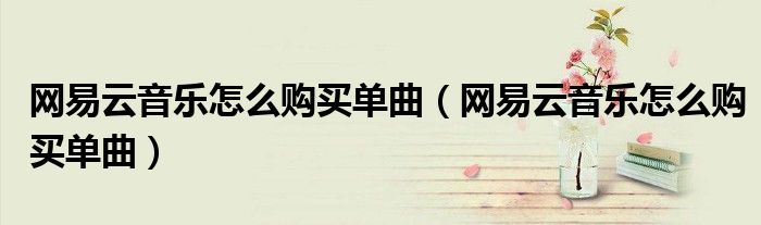 网易云音乐怎么购买单曲（网易云音乐怎么购买单曲）