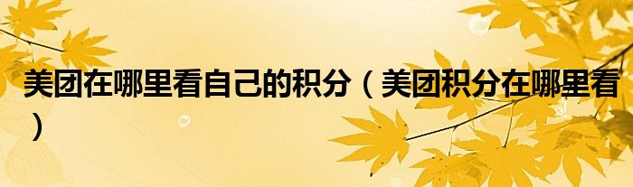 美团在哪里看自己的积分（美团积分在哪里看）