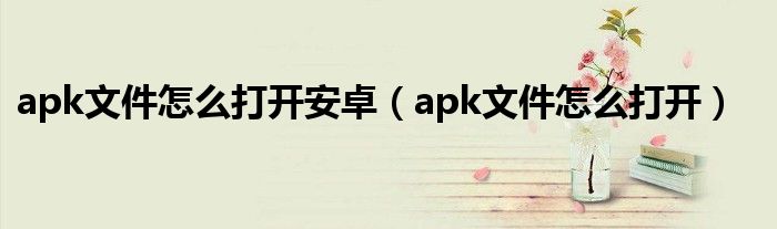 apk文件怎么打开安卓（apk文件怎么打开）