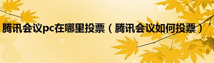 腾讯会议pc在哪里投票（腾讯会议如何投票）