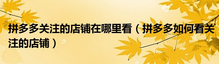 拼多多关注的店铺在哪里看（拼多多如何看关注的店铺）