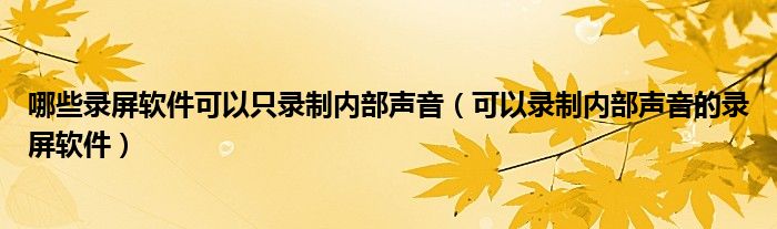 哪些录屏软件可以只录制内部声音（可以录制内部声音的录屏软件）