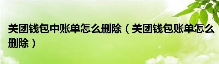 美团钱包中账单怎么删除（美团钱包账单怎么删除）