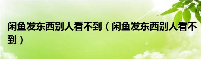 闲鱼发东西别人看不到（闲鱼发东西别人看不到）