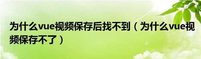 为什么vue视频保存后找不到（为什么vue视频保存不了）