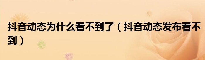 抖音动态为什么看不到了（抖音动态发布看不到）