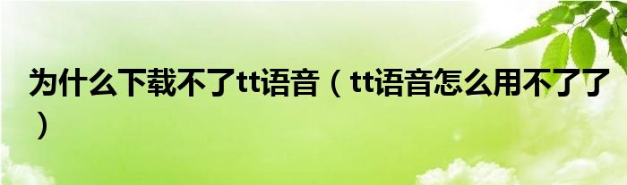 为什么下载不了tt语音（tt语音怎么用不了了）