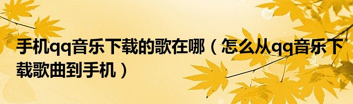 手机qq音乐下载的歌在哪（怎么从qq音乐下载歌曲到手机）