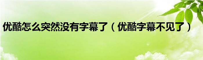 优酷怎么突然没有字幕了（优酷字幕不见了）